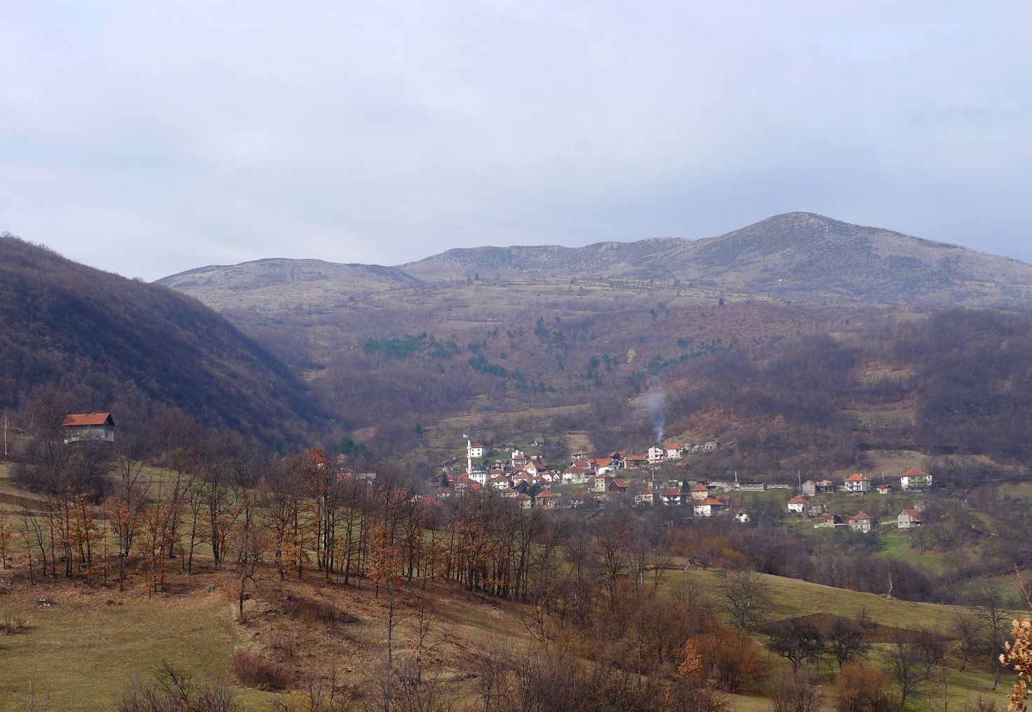 mosor_travnik